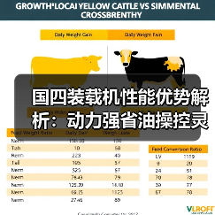 国四装载机性能优势解析：动力强省油操控灵活