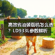 高效省油装载机怎么选？LD933L参数解析