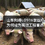 山东利得LD916装载机为何成为高效工程首选？