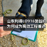 山东利得LD916装载机为何成为高效工程首选？