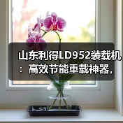 山东利得LD952装载机：高效节能重载神器，耐用省心性价比高