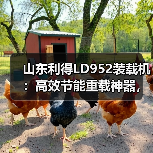 山东利得LD952装载机：高效节能重载神器，耐用省心性价比高