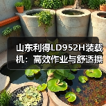 山东利得LD952H装载机：高效作业与舒适操作的完美结合