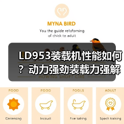 LD953装载机性能如何？动力强劲装载力强解析