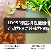 LD953装载机性能如何？动力强劲装载力强解析