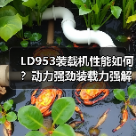 LD953装载机性能如何？动力强劲装载力强解析