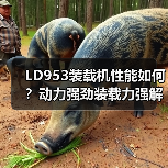 LD953装载机性能如何？动力强劲装载力强解析