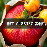 柳工 CLG818C 装载机 柳工 CLG818C 装载机
