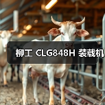 柳工 CLG848H 装载机 柳工 CLG848H 装载机