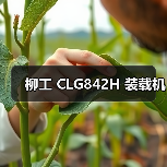 柳工 CLG842H 装载机