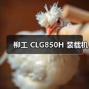 柳工 CLG850H 装载机 柳工 CLG850H 装载机