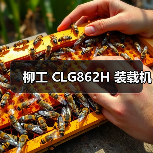 柳工 CLG862H 装载机