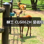 柳工 CLG862H 装载机