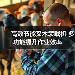 高效节能叉木装载机 多功能提升作业效率 高效节能叉木装载机 多功能提升作业效率