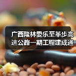 广西隆林委乐至革步高速公路一期工程建成通车 广西隆林委乐至革步高速公路一期工程建成通车