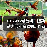 CTX912装载机:强劲动力节能高效稳定作业首选 CTX912装载机:强劲动力节能高效稳定作业首选