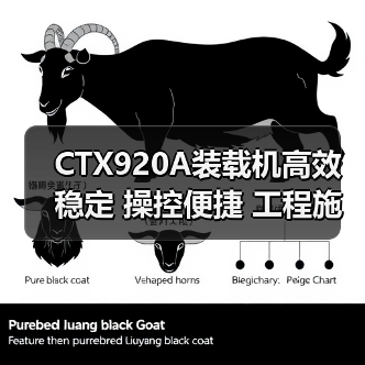 CTX920A装载机高效稳定 操控便捷 工程施工优选 CTX920A装载机高效稳定 操控便捷 工程施工优选