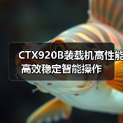 CTX920B装载机高性能高效稳定智能操作 CTX920B装载机高性能高效稳定智能操作