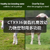 CTX936装载机高效动力稳定耐用多功能 CTX936装载机高效动力稳定耐用多功能
