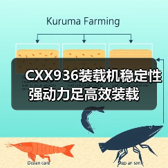 CXX936装载机稳定性强动力足高效装载 CXX936装载机稳定性强动力足高效装载