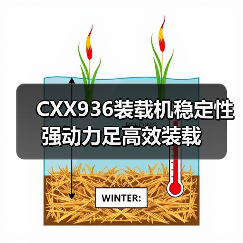CXX936装载机稳定性强动力足高效装载 CXX936装载机稳定性强动力足高效装载